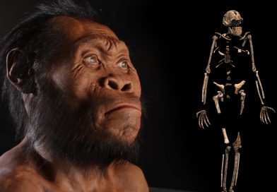 В Китае обнаружили новый вид человека Homo juluensis